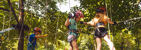a group of children partaking in a high ropes course